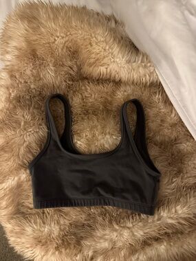Aritzia Golden dark gray sports bra